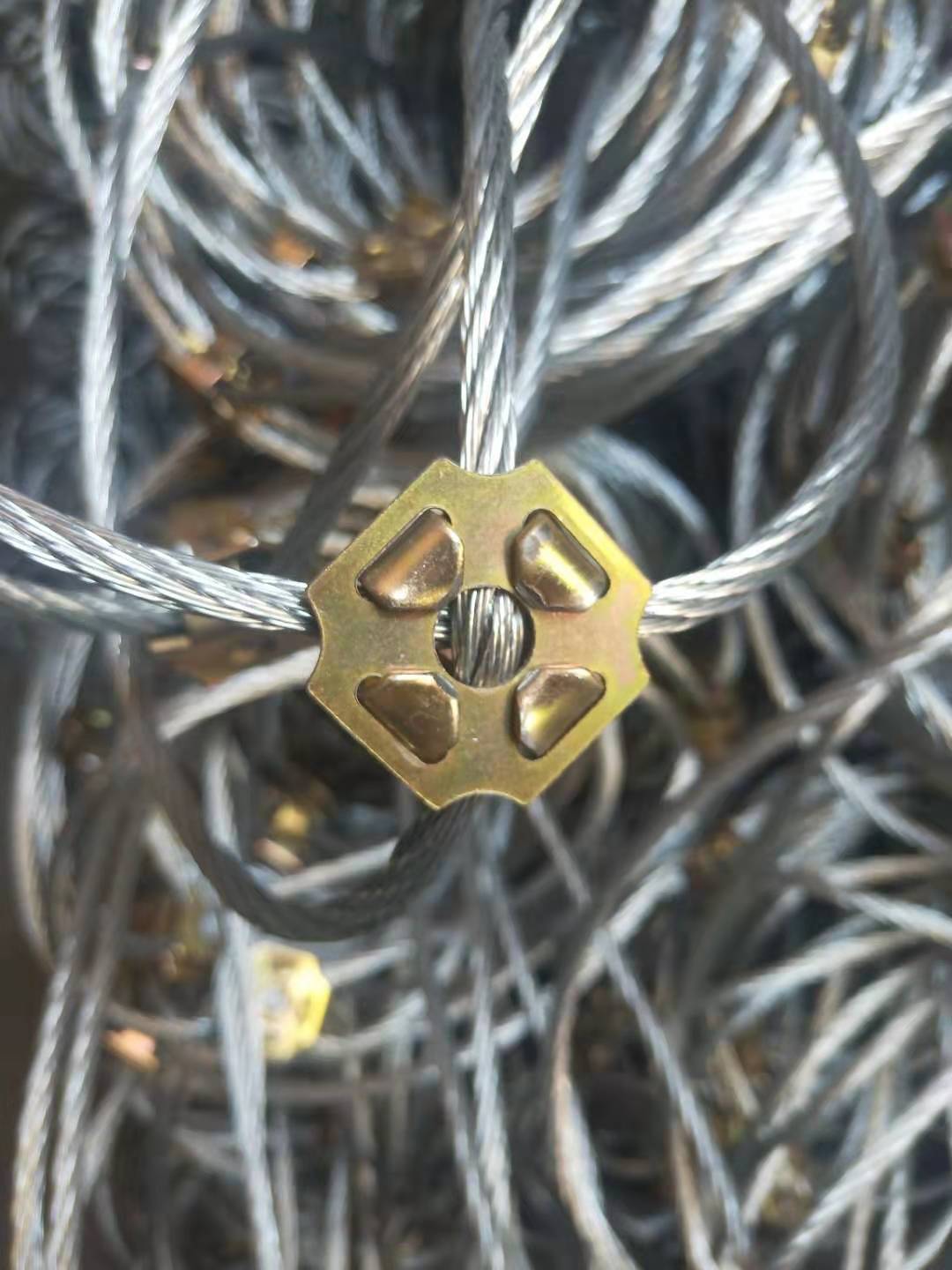 主動邊坡防護(hù)網(wǎng)