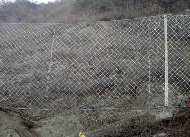 環(huán)形防護(hù)網(wǎng)