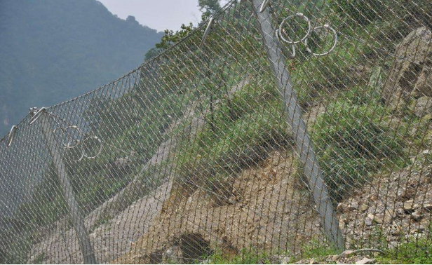 邊坡防護(hù)網(wǎng) 邊坡防護(hù)網(wǎng)