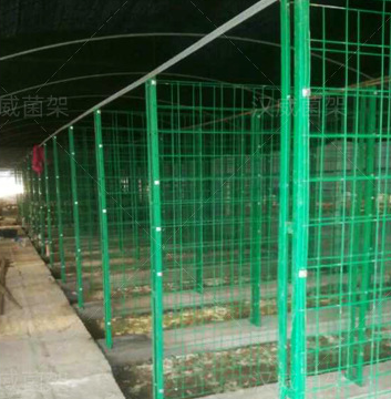 食用菌網(wǎng)格