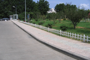 綠化帶草坪護(hù)欄網(wǎng)