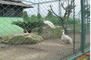 操場圍欄網(wǎng)